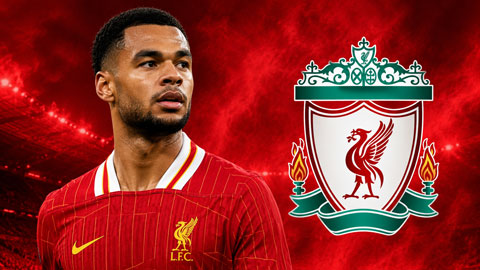  Tin giờ chót 10/8: Liverpool sẵn sàng bán Gakpo