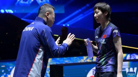  Europe Smash 2026: Bóng bàn Trung Quốc gây thất vọng lớn