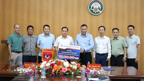  VFF đồng hành cùng địa phương phát triển bóng đá trẻ và nâng cao năng lực tổ chức giải