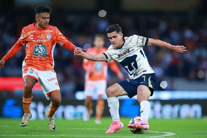  Nhận định Charlotte vs Atlas 06h30 ngày 08/08: Tiếp đà hưng phấn