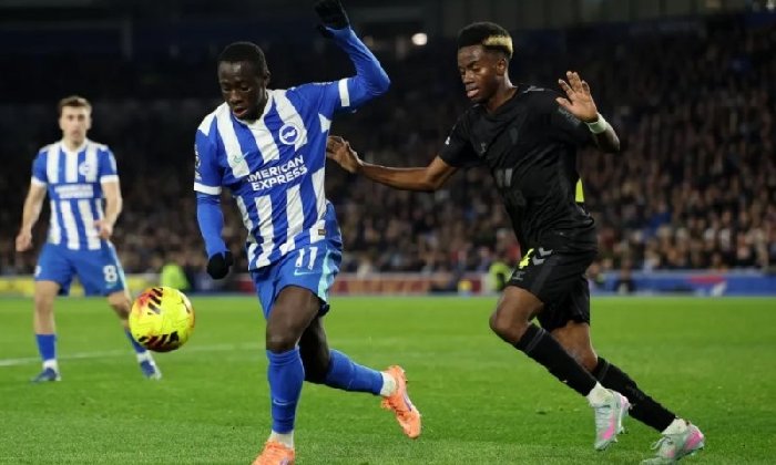  Nhận định Sunderland vs Brighton 21h00 ngày 10/10: Chim mòng biển săn mồi